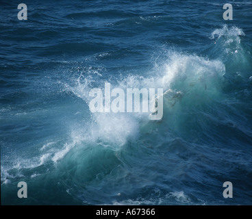 Grande onda Oceano Hawaii Foto Stock