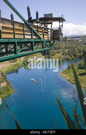 L'uomo tuffarsi nel fiume Waikato da 47 metri di altezza piattaforma a sbalzo in corrispondenza di Taupo Bungy Isola del nord della Nuova Zelanda Foto Stock