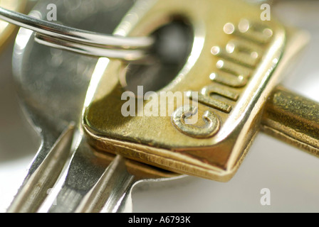 Le chiavi di casa su anello chiave Foto Stock