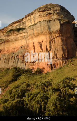 Tipico affioramento roccioso Golden Gate Highlands National Park in Sud Africa Foto Stock