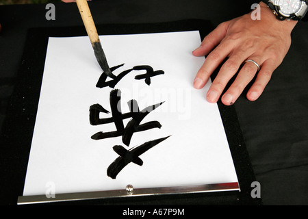 Miami Florida,Homestead,Fruit & Spice Park,Asian Culture Festival,festival fair,calligrafia giapponese,arte,artista,pennellate,FL070303139 Foto Stock