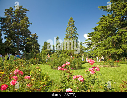 Giardino botanico di Jalta, Crimea, Ucraina, South-Easteurope, Europa Foto Stock