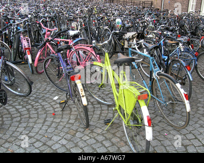 Numerose biciclette parcheggiate nella parte anteriore di Maastricht stazione ferroviaria Paesi Bassi Foto Stock