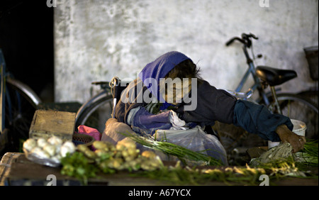Cina Shanghai anziani donna cinese vendendo i cipollotti e aglio da un marciapiede in stallo Foto Stock