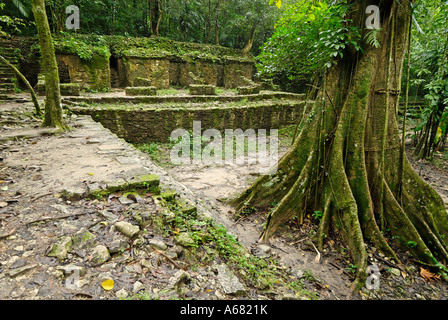 Maya sito archeologico di Palenque, Chiapas, Messico Foto Stock