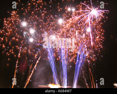 Fuochi d'artificio di notte Foto Stock