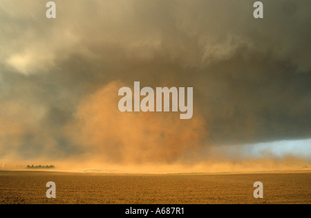 Un grande gustnado polverosi (falso tornado) forma sotto un severo supercell rotante temporale vicino a Turchia, Texas, Stati Uniti d'America Foto Stock