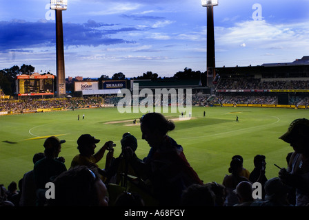 Silhouette di ventole a partita di cricket, Perth, Western Australia Foto Stock