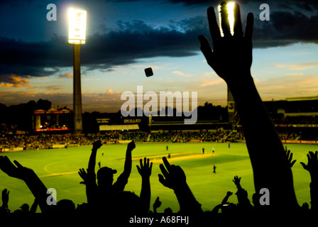 Ventole facendo onda messicano di notte partita di cricket, Perth, Western Australia Foto Stock