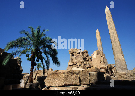 Due obelischi in tempio di Karnak Foto Stock