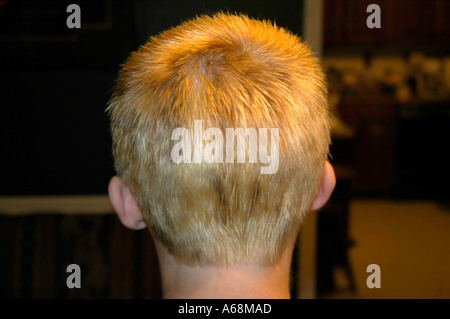 Retro della testa di un ragazzo adolescente dopo un pessimo lavoro a mettere in evidenza i suoi capelli Foto Stock