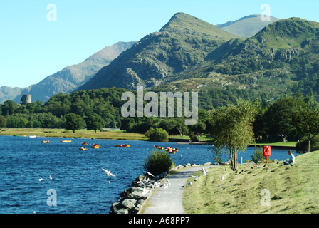 Llyn Padarn una morena glacially dammed formata sul lago con le barche a remi e torre in rovina di Dolbadarn Castle a Llanberis Snowdonia Gwynedd North Wales UK Foto Stock