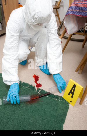 Responsabile legale di raccolta di sangue a una scena del crimine Foto Stock