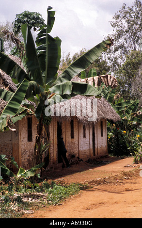 East Africa Tanzania Caption locale Zanzibar Tanzania Foto Stock