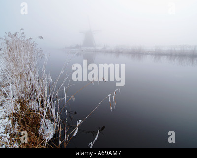 Olandese paesaggio invernale con acqua canne e silhouette di mulino a vento Kinderdijk nei Paesi Bassi Foto Stock