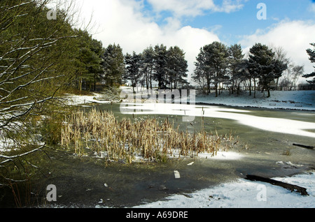 Lago in inverno Foto Stock