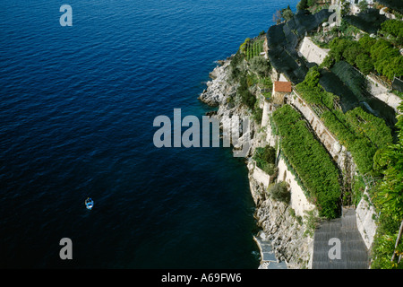 Costiera Amalfitana Italia giardini terrazzati di alberi di limone crescente sui ripidi pendii della costa Foto Stock