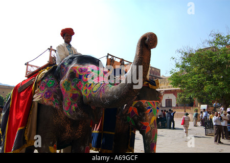 Dipinto di elefanti a Forte Amber in attesa di prelevare i turisti India Foto Stock