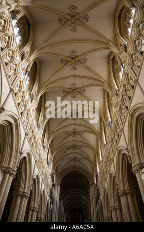 Soffitto a volte di Beverley Minster, East Riding of Yorkshire, Regno Unito. Foto Stock