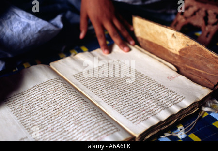 Bibliothèque - Chinguetti, MAURITANIA Foto Stock