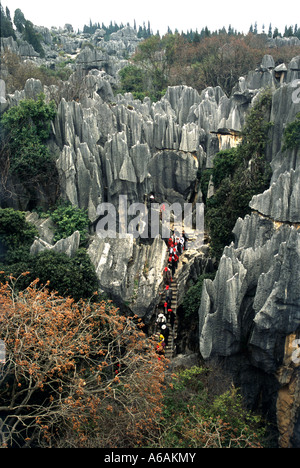 Cina Yunnan, la Foresta di Pietra, Shin Lin, visitatori sui gradini di pietra che conduce attraverso il centro di formazioni carsiche Foto Stock