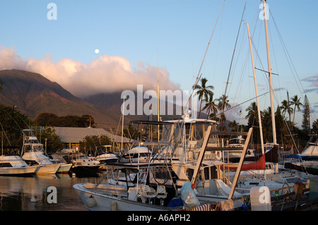 In porto la caccia alla balena storica cittadina di Lahaina, Maui, Hawaii Foto Stock