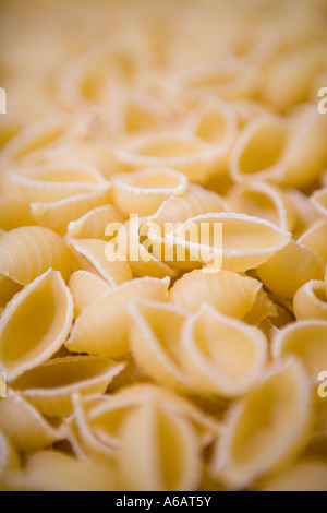 I gusci di pasta, short-cut pasta scanalato Foto Stock