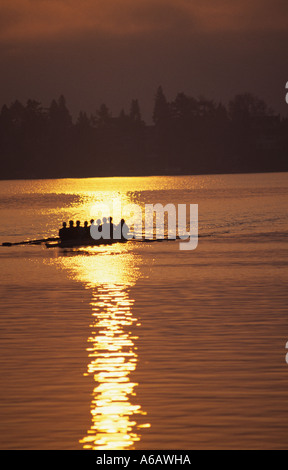 Otto uomo equipaggio sulla baia di unione profilarsi all'alba con remi in acqua creando wake riflessioni Seattle Washington STATI UNITI D'AMERICA Foto Stock