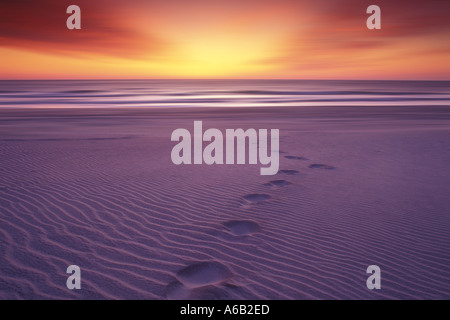 Impronte sulla spiaggia presso Sunrise Cape Hatteras Carolina del Nord Foto Stock