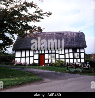 Thatched House Foto Stock