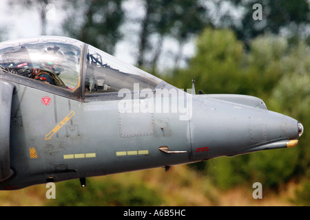 Royal Navy Sea Harrier Jump Jet naso Foto Stock