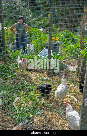 Donna in piedi nel suo orto guardando a casa della gallina Foto Stock