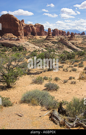Buttes e scogliere vicino alla sezione di Windows di Arches National Park nello Utah Stati Uniti d'America Foto Stock
