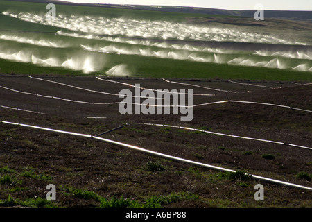 Irrigatori irrigazione e tubazioni Snake River Valley Idaho U S A Foto Stock