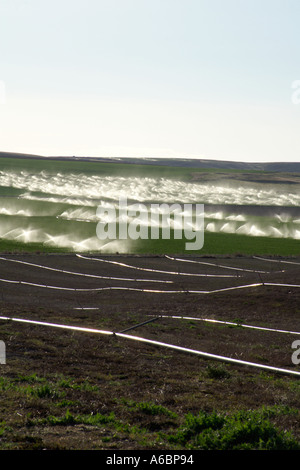 Irrigatori irrigazione e tubazioni Snake River Valley Idaho U S A Foto Stock