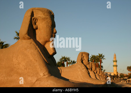Viale di sfingi con minareto in background Foto Stock