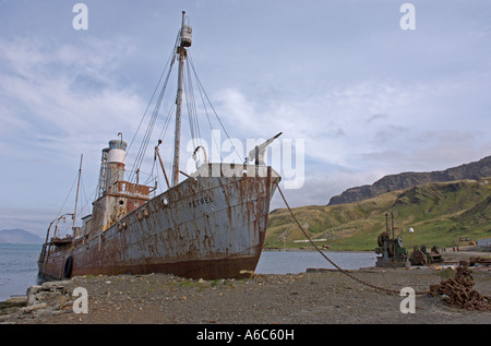 British vecchia nave baleniera Petrel a Grytviken Georgia del Sud Antartide Gennaio 2007 Foto Stock