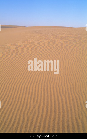 Ripples in sabbia a Umpqua Dune Oregon Dunes National Recreation Area Oregon Coast Foto Stock
