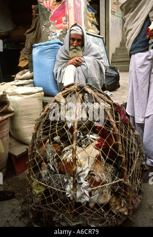 Il Pakistan Swat Mingora Bazaar uomo vendere polli vivi Foto Stock