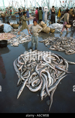 Il Pakistan Sind Karachi porto pesci anguille pesce in attesa di essere venduto Foto Stock