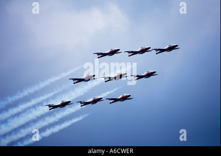 Snowbirds effettuando in corrispondenza di Air Show Foto Stock