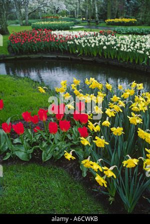 Il giardini KUKENHOFF crescere ogni genere di tulip immaginabili altre lampadine alberi di piante come pure i Paesi Bassi Foto Stock