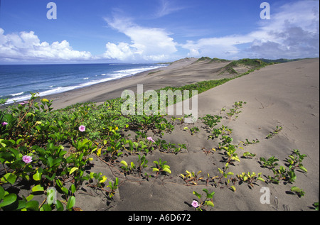 Sigatoka Sand Dunes National Park Figi Foto Stock