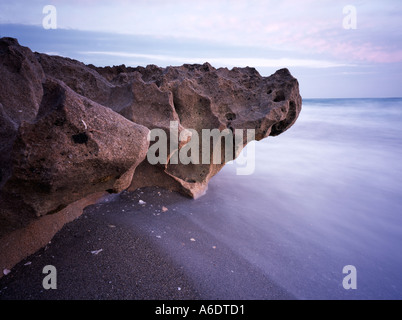 Costa rocciosa di Hutchinson Island Stuart Florida Foto Stock