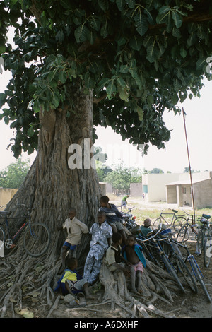 In attesa in ombra in un coltivatore di cotone s village Salia nella regione Beleco Mali Foto Stock