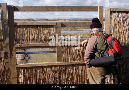Osservazione degli uccelli twitcher in reed nascondi affacciato sulla laguna a Newport Zone Umide Riserva Naturale Nazionale South East Wales UK Foto Stock
