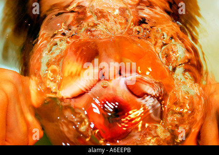 Snoot sotto l'acqua Foto Stock