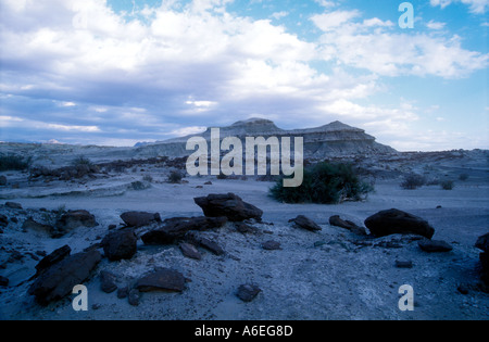 Ischigualasto Park presso la Western Argentina Foto Stock