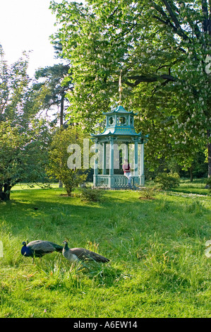 Godersi la natura in Parigi Francia, parchi urbani Scenic con uccelli fagiano in Bagatelle Giardini in Bois de Boulogne Foto Stock