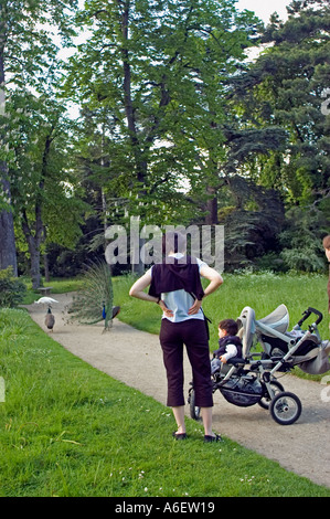 'Per godersi la natura' Parigi Francia " parchi urbani" "giovane famiglia' guardando i pavoni in "Bagatelle Giardini' in 'Bois de Boulogne' Foto Stock